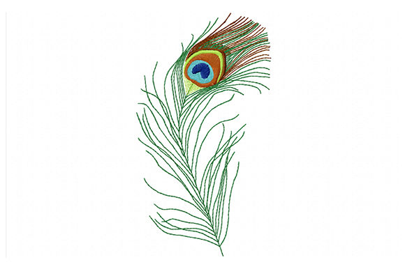 Charming Colorful Peacock Feather Embroidery