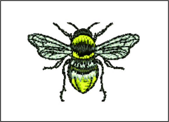 Explore the Versatility of Bee Detailed for Holiday Gifts